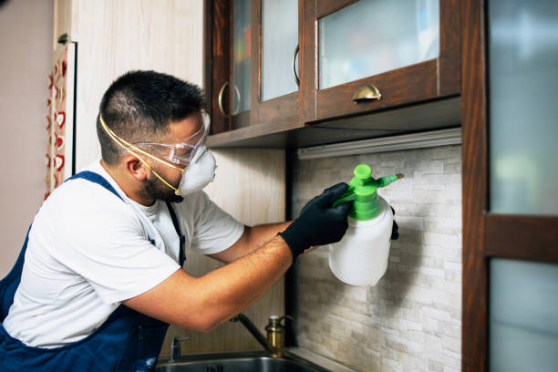 Best Affordable Pest Control Services  in Gloucester, MA