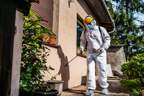 Best Pest Control Treatment  in Gloucester, MA