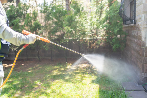 Best Mosquito Control Services  in Gloucester, MA