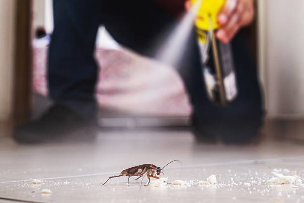 Best Pest Prevention Services  in Gloucester, MA