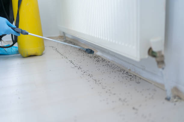 Best Pest Inspection Near Me  in Gloucester, MA
